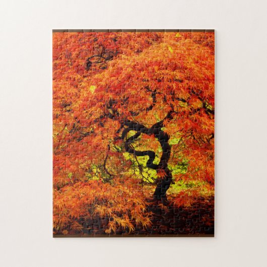 Japanse Maple in Herfst najaar Oranje uitdaging Legpuzzel (Verticaal)