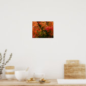 Japanse Maple in Herfst Poster (Keuken)