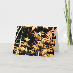 Japanse Maples 5 Floral Photography HGC Kaart