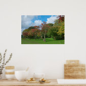Japanse Maples, Bute Park, Cardiff. Poster (Keuken)
