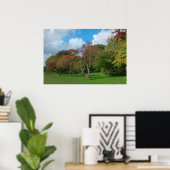Japanse Maples, Bute Park, Cardiff. Poster (Thuiskantoor)