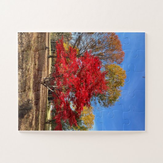 Japanse mappelboom Puzzle Legpuzzel (Horizontaal)