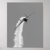 Japanse marine Aichi D3A duikboot Bomber Poster (Voorkant)