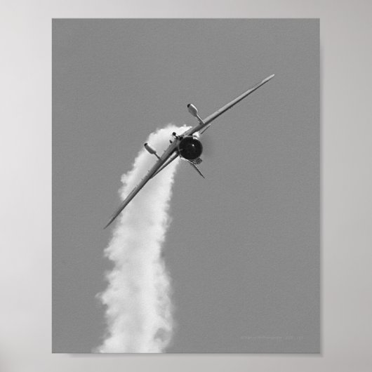 Japanse marine Aichi D3A duikboot Bomber Poster (Voorkant)