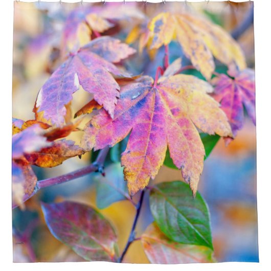 Japanse mazelblad douchegordijn (Voorkant)