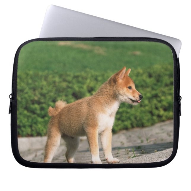 Japanse Midget Shiba 2 Laptop Sleeve (Voorkant)