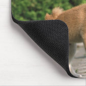 Japanse Midget Shiba 2 Muismat (Hoek)