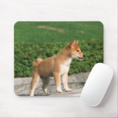 Japanse Midget Shiba 2 Muismat (Met muis)