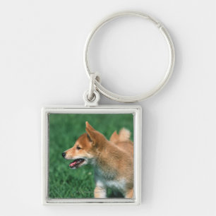 Japanse Midget Shiba Sleutelhanger
