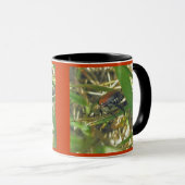 Japanse Mok van Beetle (Voorkant rechts)