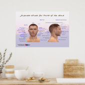 Japanse namen voor delen van het hoofd poster (Keuken)