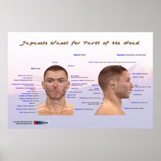 Japanse namen voor delen van het hoofd poster