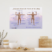 Japanse namen voor delen van het lichaam poster (Keuken)
