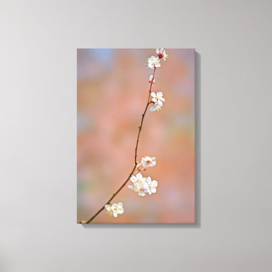 Japanse oerbloesem canvas afdruk (Voorkant)