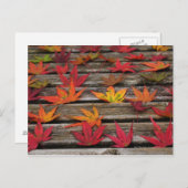 Japanse paardebladeren briefkaart (Voorkant / Achterkant)