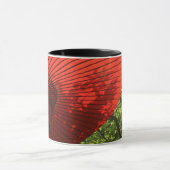 Japanse parasol mok (Midden)