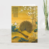 Japanse peacock-isolatie