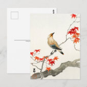 Japanse pest - Ohara Koson -  kunst Briefkaart (Voorkant / Achterkant)