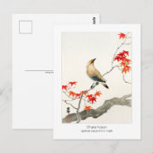 Japanse pest op zeehond - Ohara Koson - Briefkaart (Voorkant / Achterkant)