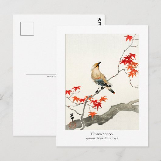 Japanse pest op zeehond - Ohara Koson - Briefkaart (Voorkant / Achterkant)