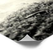 Japanse Pond Garden Poster (Hoek)