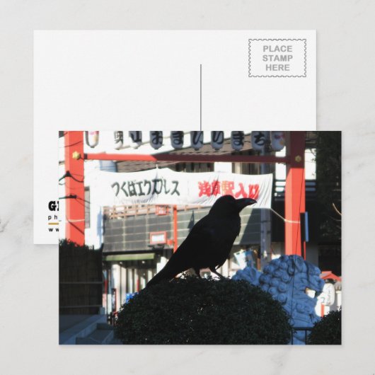 Japanse rijm briefkaart (Voorkant / Achterkant)