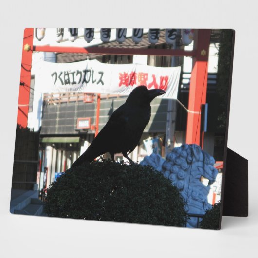 Japanse rijm fotoplaat (Zijkant)