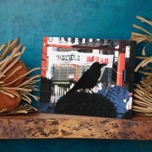 Japanse rijm fotoplaat (Zijkant)