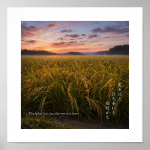 Japanse Rijstveld Zonsopgang – Natuur Wijsheid Pri Poster