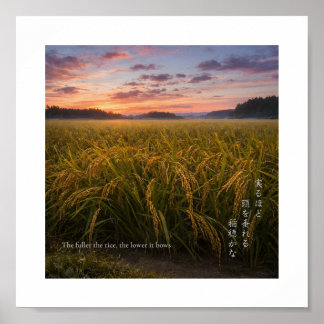 Japanse Rijstveld Zonsopgang – Natuur Wijsheid Pri Poster