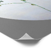 Japanse Robin in Wisteria, Watanabe Seitei Poster (Hoek)