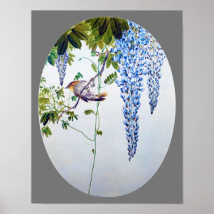 Japanse Robin in Wisteria, Watanabe Seitei Poster