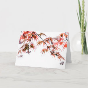 Japanse Rode Maple Art Photography L Kaart
