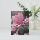 Japanse roze Saucer Magnolia Briefkaart (Staand voorkant)