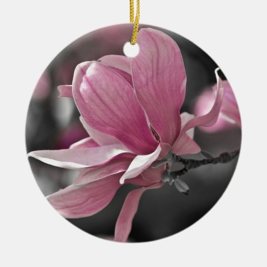 Japanse roze Saucer Magnolia Keramisch Ornament (Voorkant)