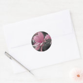 Japanse roze Saucer Magnolia Ronde Sticker (Envelop)