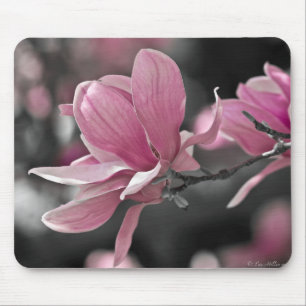Japanse Roze Schotel Magnolia Muismat