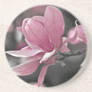 Japanse Roze Schotel Magnolia Zandsteen Onderzetter