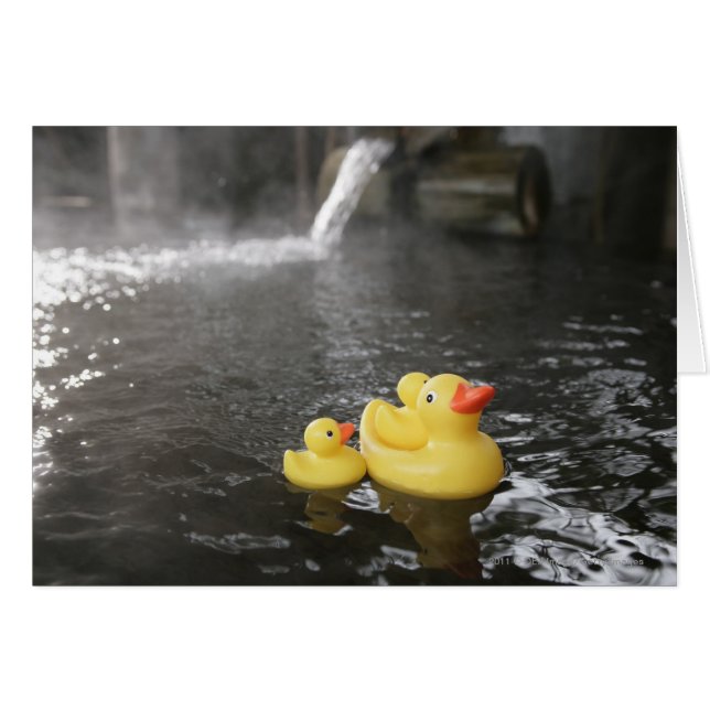 Japanse Rubber Duckies (Voorkant Horizontaal)