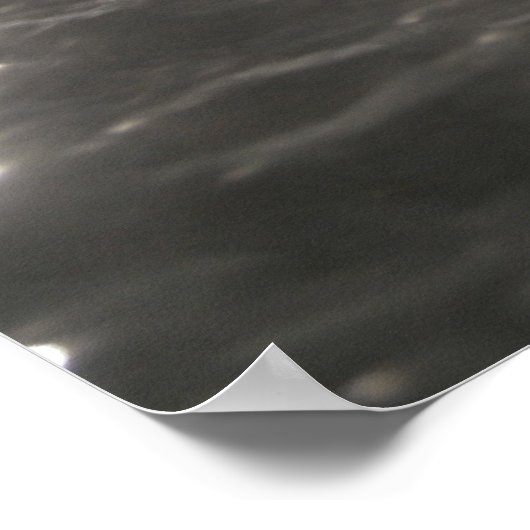 Japanse Rubber Duckies Poster (Hoek)