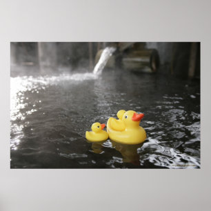 Japanse Rubber Duckies Poster