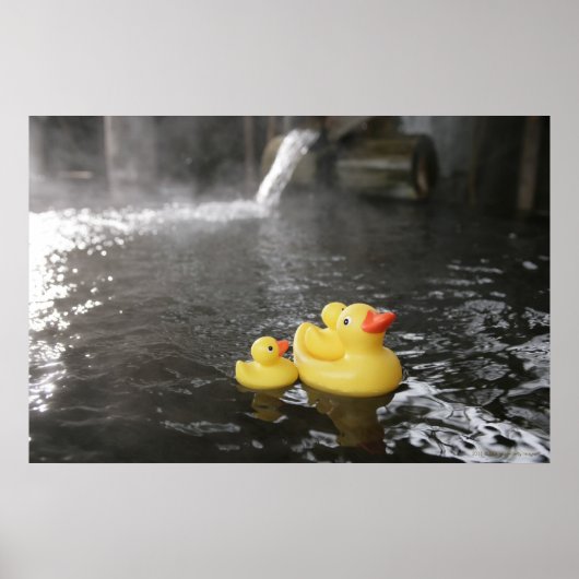 Japanse Rubber Duckies Poster (Voorkant)