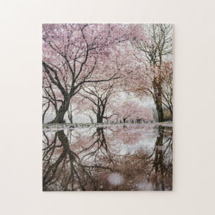 Japanse Sakura Cherry Blossom Blooming Foto Legpuzzel
