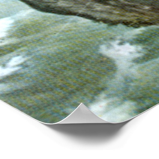 Japanse Samurai in de boom Poster (Hoek)