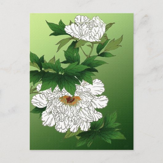  Japanse schets van grote witte pony Briefkaart (Voorkant)