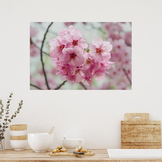 Japanse schoonheid, Floral roze Cherry Blossom Poster (Keuken)