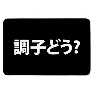 Japanse Slang Wat is er 調子ど う? Choushi Dou Magneet