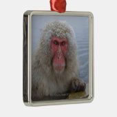 Japanse sneeuwaap in hotspring metalen ornament (Rechts)
