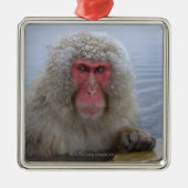 Japanse sneeuwaap in hotspring metalen ornament (Voorkant)