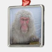 Japanse sneeuwaap in hotspring metalen ornament (Links)